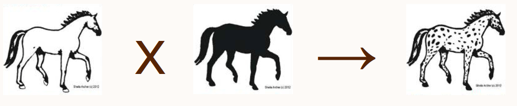 LPLPxlplp=LPlp LPLPxlplp=LPlp