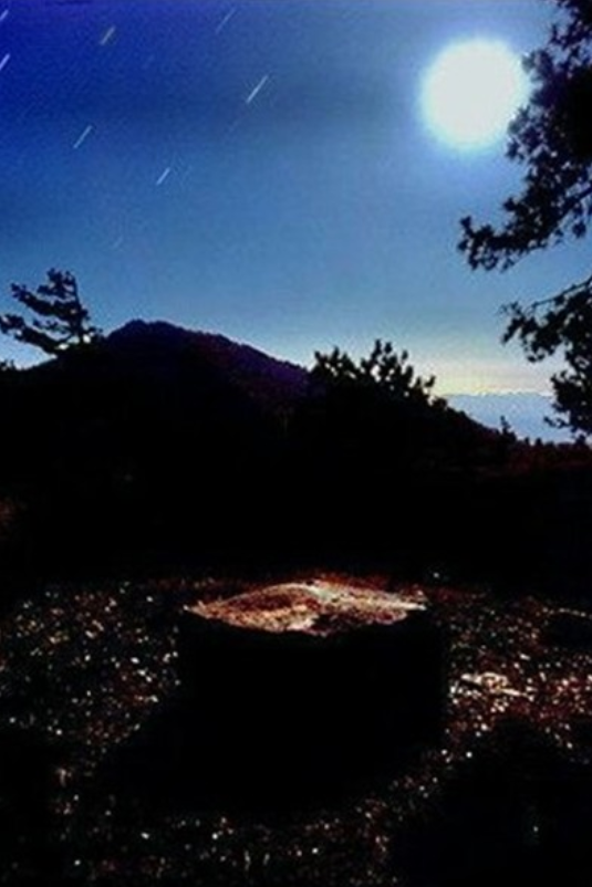 normal horse normal horse