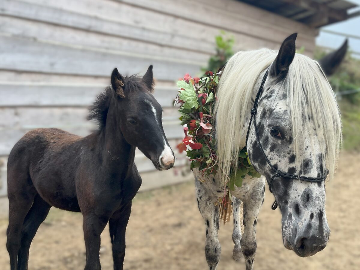 BearPaw & Spirit Oct.25 BearPaw & Spirit Oct.25