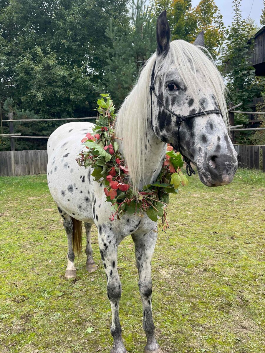 BearPaw Oct.25 BearPaw Oct.25