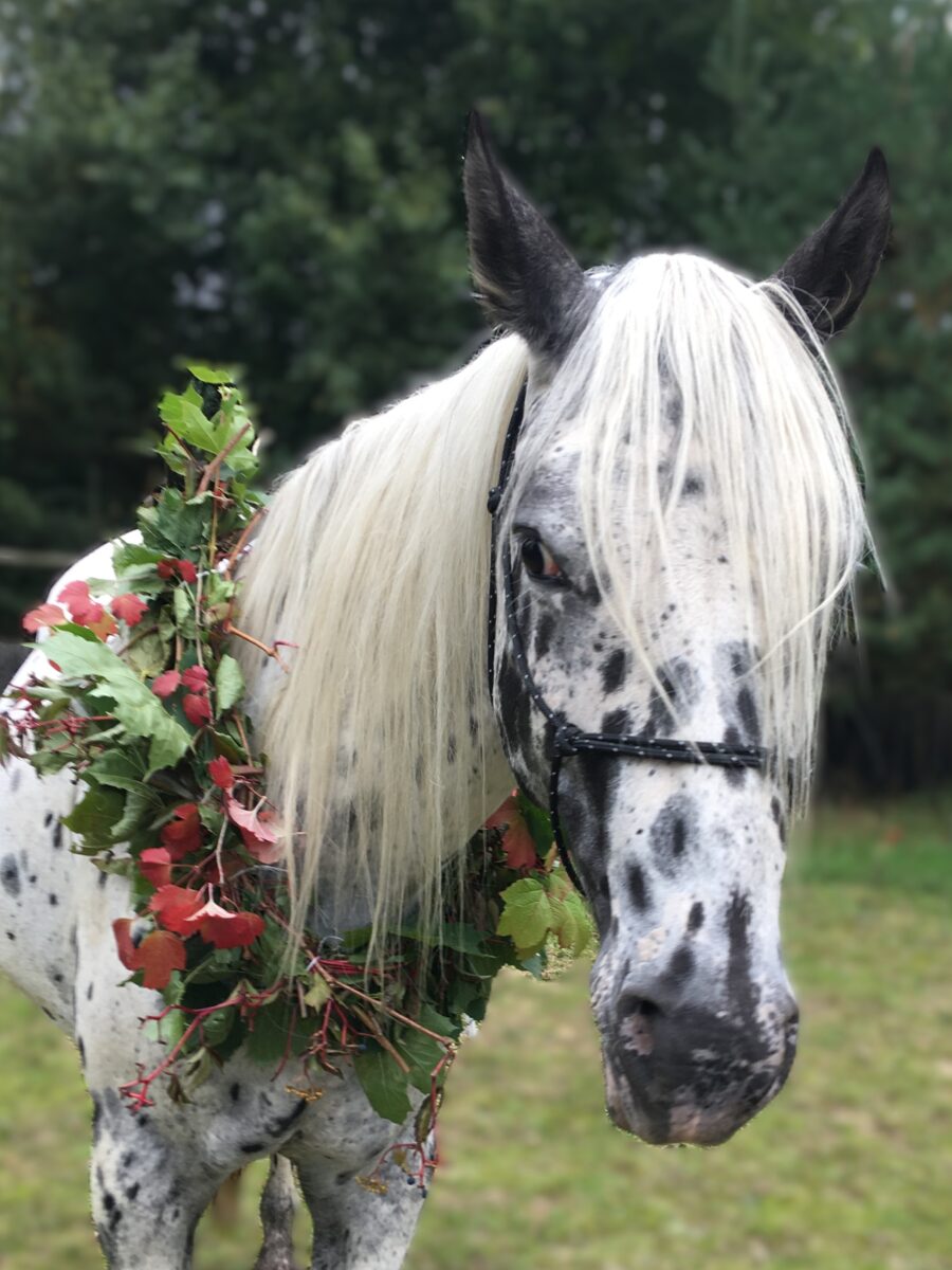 BearPaw Oct.25 BearPaw Oct.25