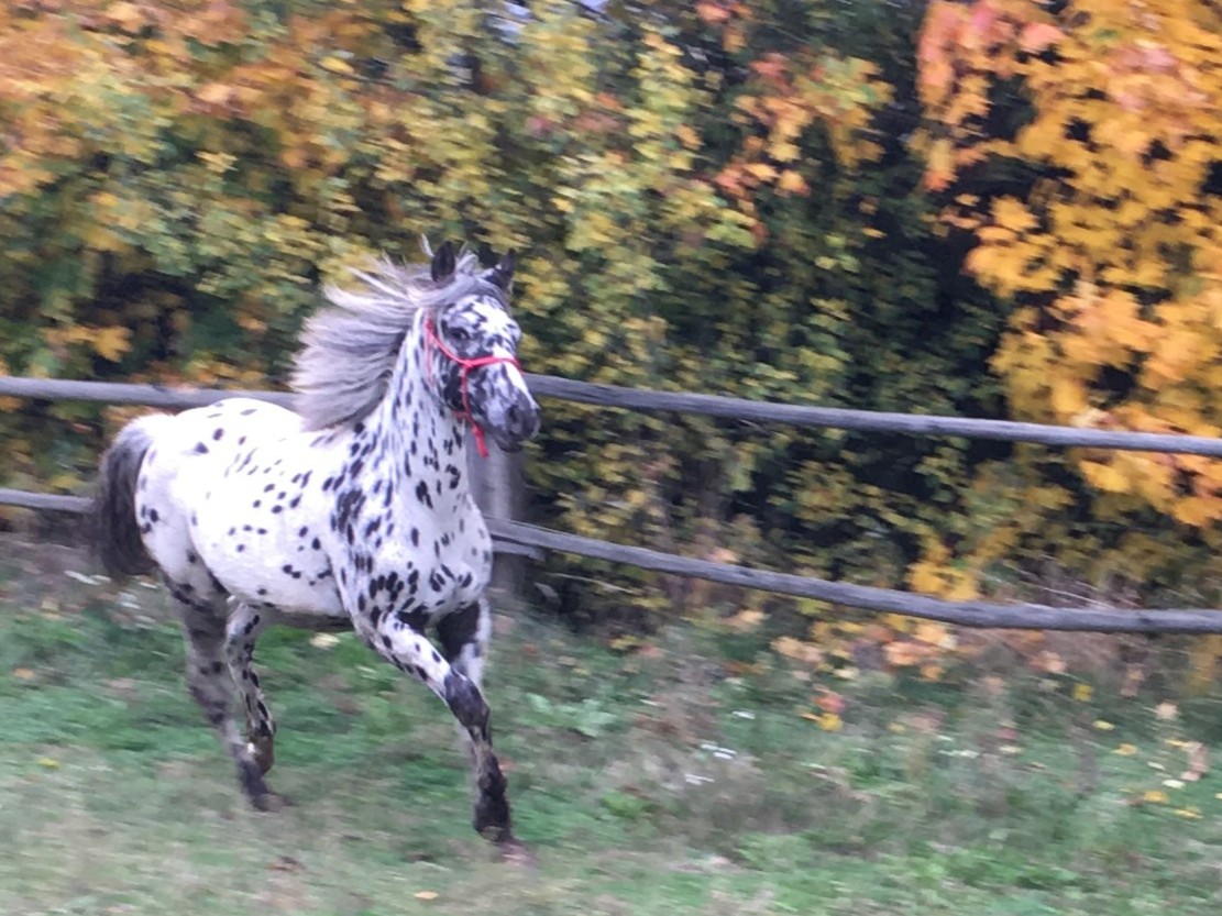 ISHTA Oct.25