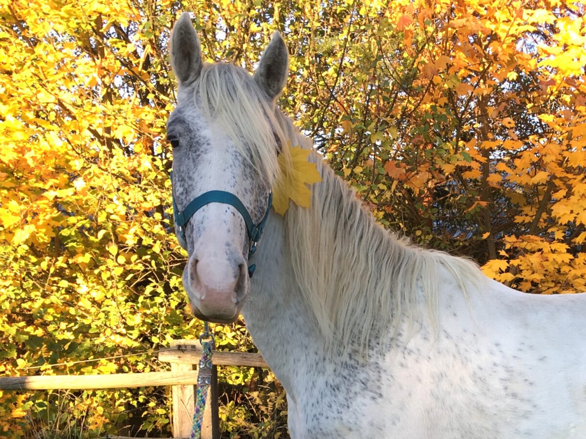 Salt Oct.25 Salt Oct.25