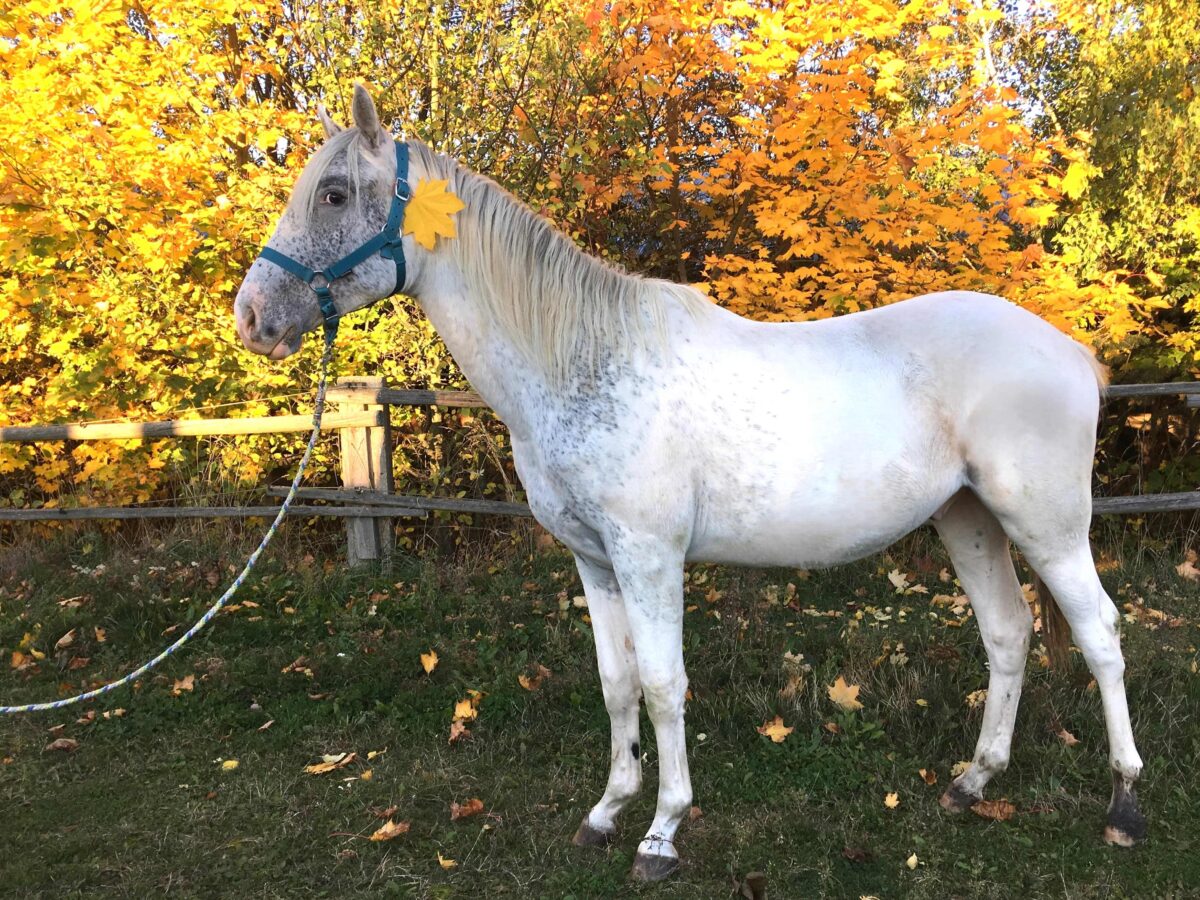 Salt Oct.25 Salt Oct.25