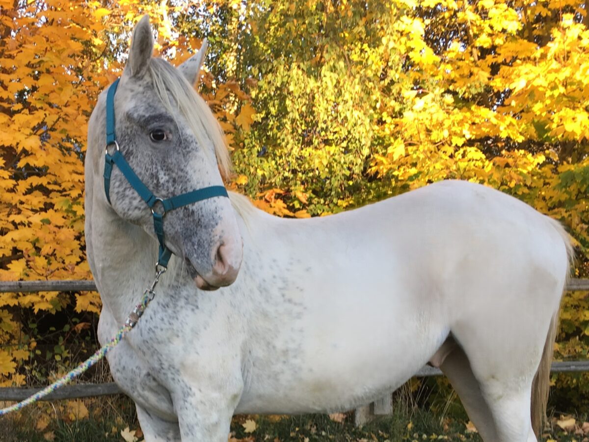 Salt Oct.25 Salt Oct.25