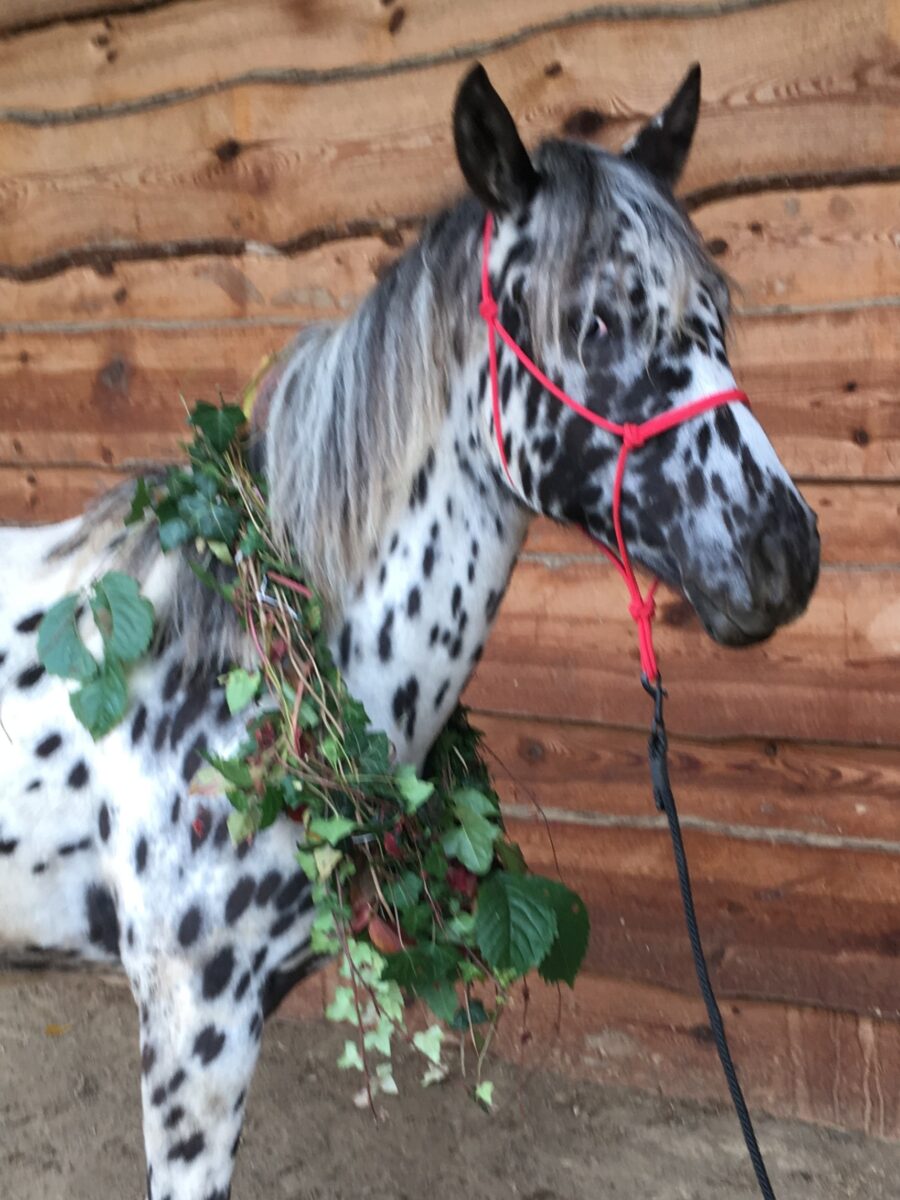 ISHTA Oct.25