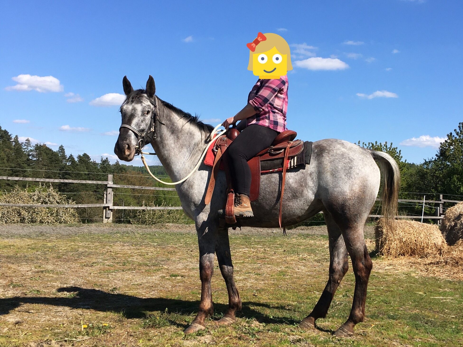 Elie under saddle