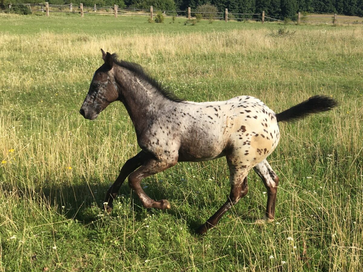 Frida 8/25