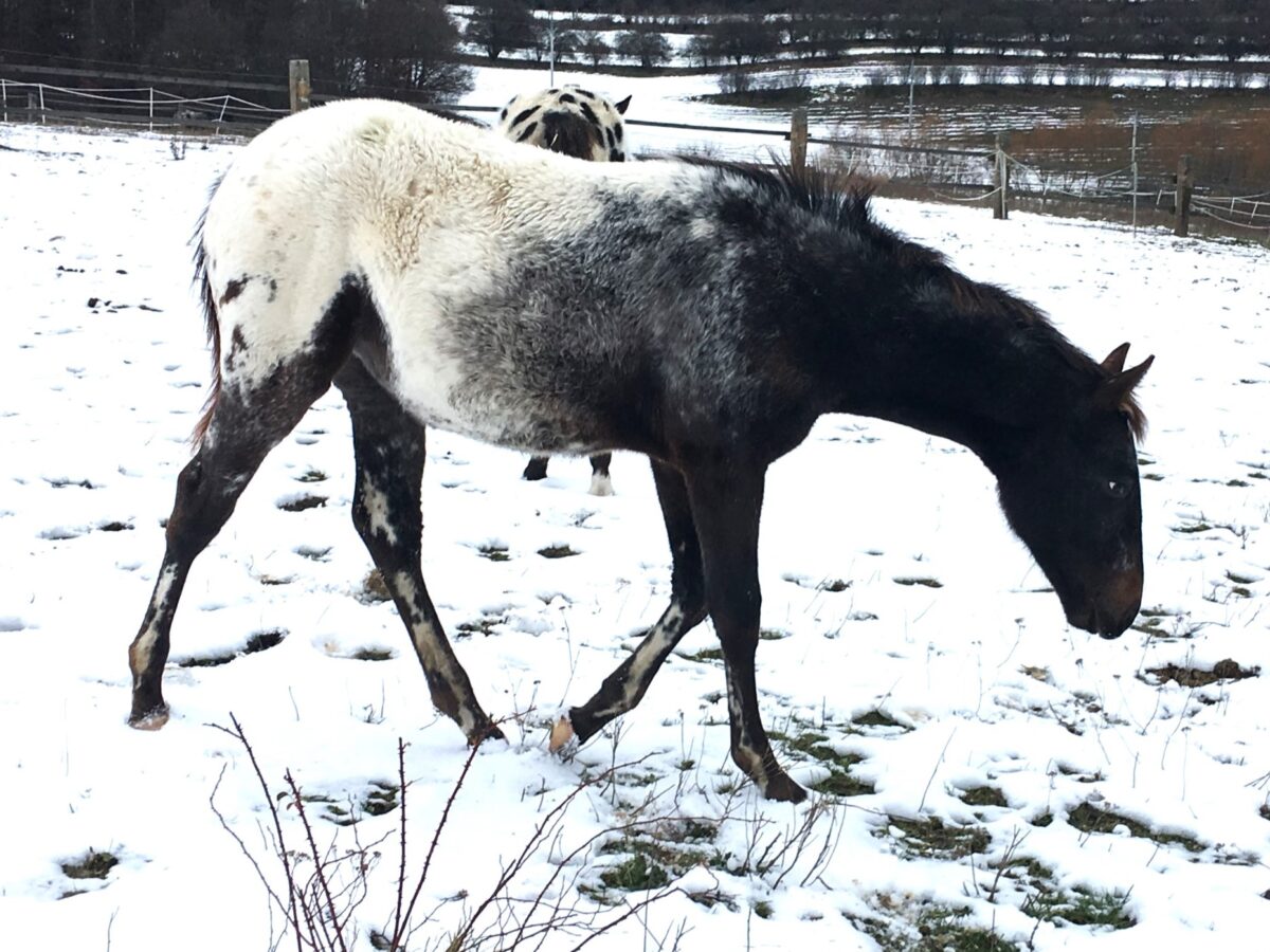 SAKARI Dec.24