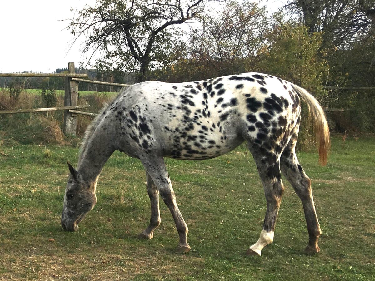 Wanda Oct.26