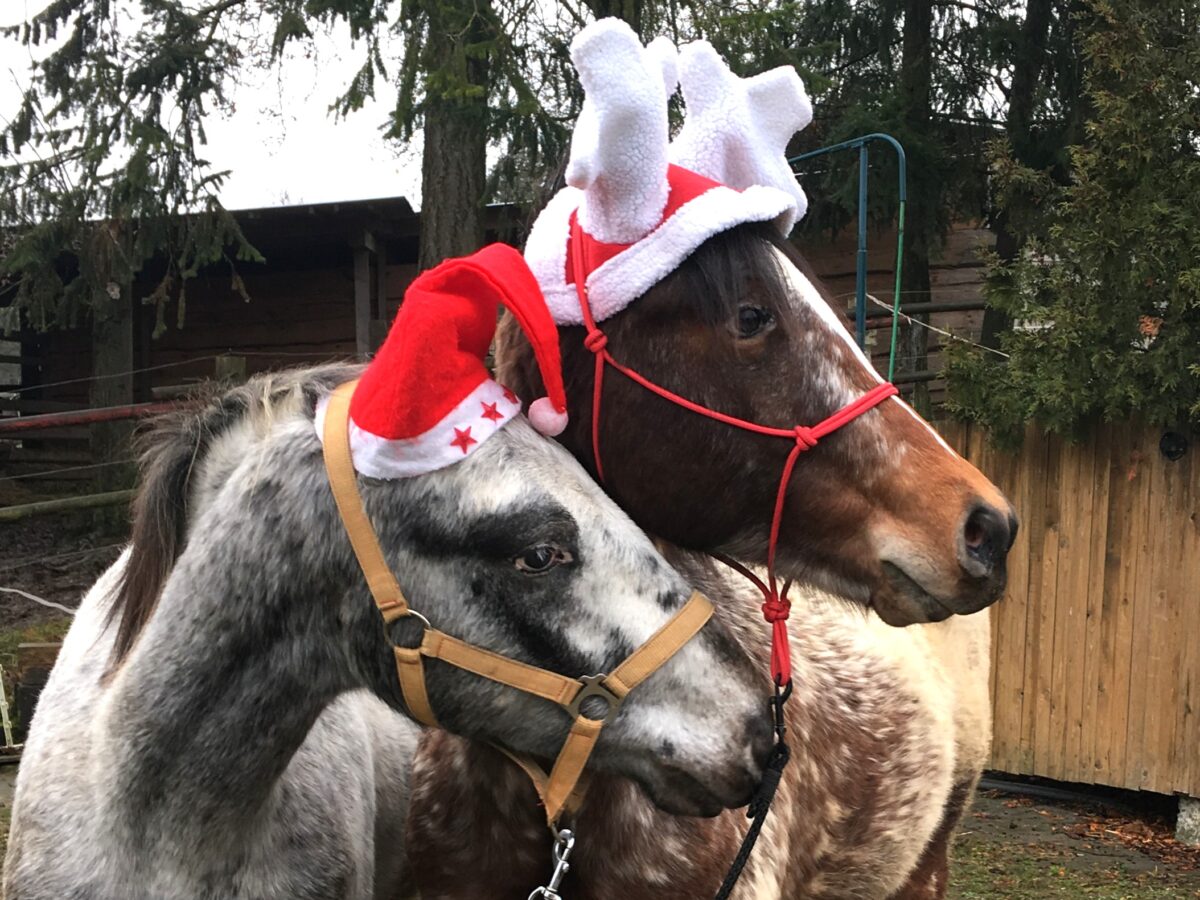 Sakari & Baby Dec.25