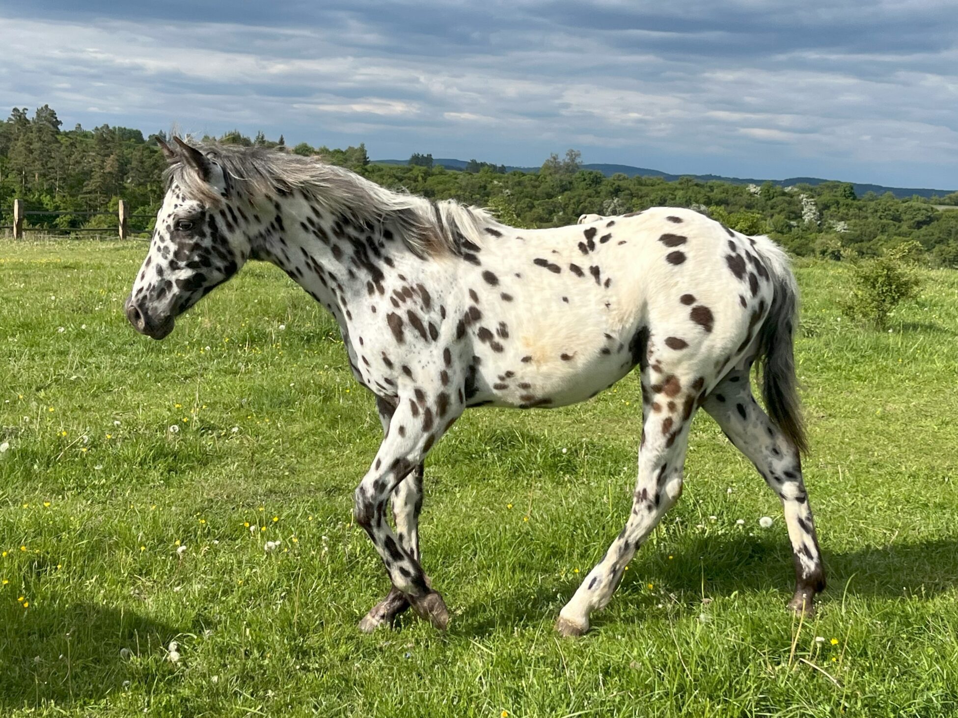 ISHTA May25