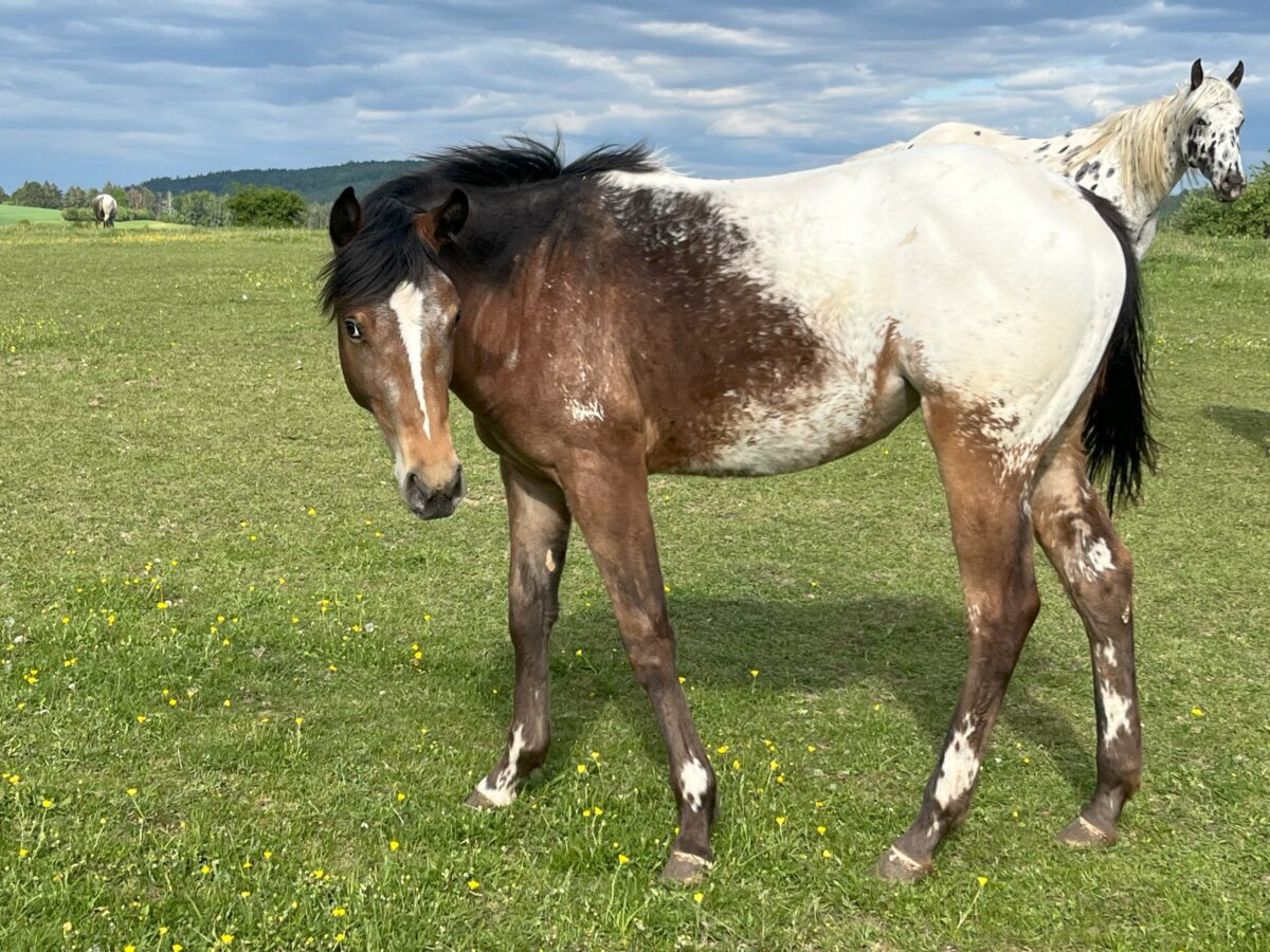 BABY MAY25