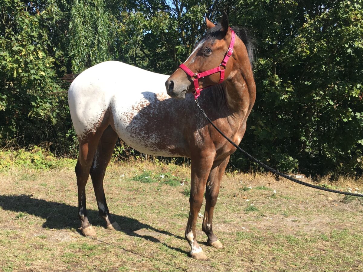 Baby 9/26